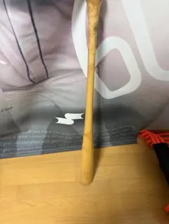 Item thumbnail for item e1b52f6b-1f36-4180-abeb-0277252f4de2