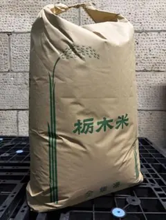 特別栽培米　大田原産こしひかり　送料込みのサムネイル
