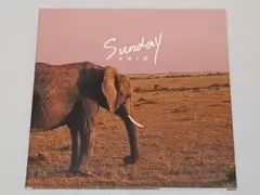 said／Sunday