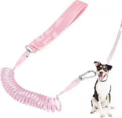 犬 リード 伸縮リード 犬用リード 散歩 小型犬用リード 訓練リード