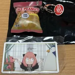 ピーナッツ袋キーホルダー　USJ SPY×FAMILY スパイファミリー