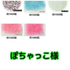 ぽちゃっこ様・専用