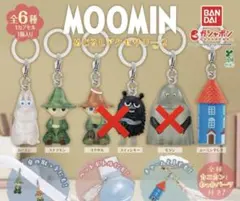 MOOMIN めじるしアクセサリー2