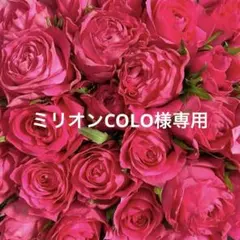 2026年最新】ボンボネロ 生刷りの人気アイテム - メルカリ