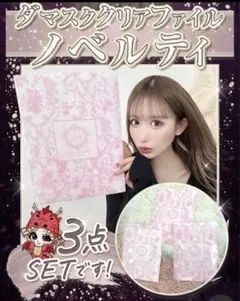 Rady クリアファイル　ノベルティ 3点セット ピンク