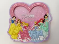 ディズニー　プリンセス　フォトフレーム マグネット