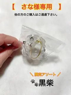 【さな様専用】うちの子けだまだま　黒柴