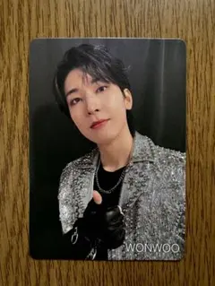 SEVENTEEN ウォヌ w会員 トレカ CARAT カラモバ