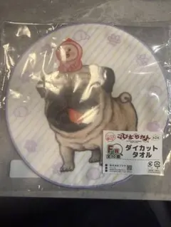 こびとづかん キャラ福 쿠지 F賞 ダイカットタオル