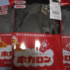 Item thumbnail for item 600ae764-f089-4339-9edb-74a248de02c3