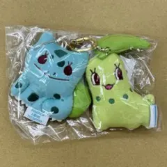 希少 タグ付 チコリータ ぬいぐるみ スーパーひみつきちの ポケドール ポケセン 希少 タグ付 チコリータ ぬいぐるみ スーパーひみつきちの ポケドール