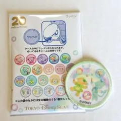 ディズニーシー ダッフィー＆フレンズ 20周年ワッペン