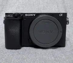 SONY α6600 ボディ ミラーレス一眼カメラ ハヤテ様専用 - メルカリ