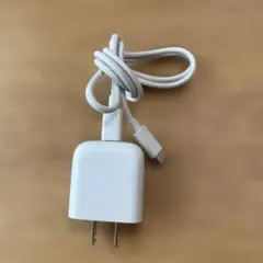 ホワイト USB Type-C 電源アダプター