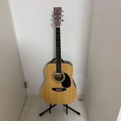 Eris. エリス Aproa アコースティックギター ココナッツミルク - メルカリ