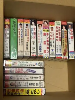 Item thumbnail for item b2455cd2-cf80-434e-8e58-c9068c88712c