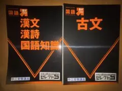 高校受験　国語問題集「古文」　「漢文」「漢詩」「国語知識」
