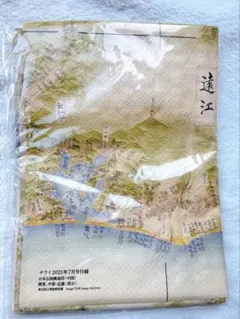 ◇『伊能忠敬 巻尺』江戸期◇検）大日本沿海輿地全図 徳川
