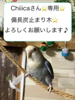 Item thumbnail for item c0e3d706-f9d8-4e08-83c3-b377dc1454b4