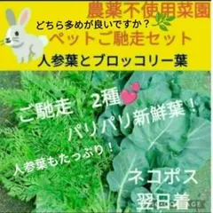 ブロッコリー葉と人参葉　合計200g+aのサムネイル