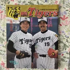 2003.12⭐️月刊タイガース⭐️NO.311岡田彰布⭐️星野仙一⭐️未使用⭐️岡田監督 2003.12⭐️月刊タイガース⭐️NO.311岡田彰布⭐️星野仙一⭐️未使用