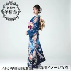 振袖セット 青に金通し