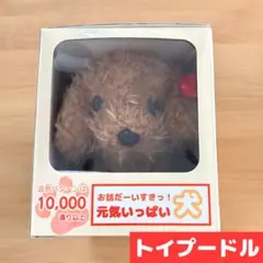おしゃべりトイプードル ぬいぐるみ（説明書、電池、洋服付） - メルカリ