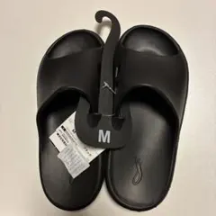 Item thumbnail for item 34151d92-7a9d-4925-9c6f-55f67b5c2cc1