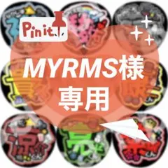 michi様 リクエスト 2点 まとめ商品 - メルカリ