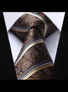 ♦ HISDERN ♦メンズ　ネクタイ ポケット　スクエアあり