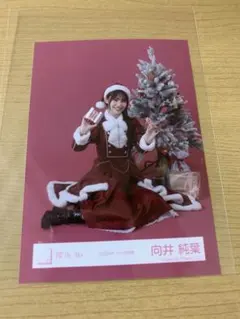 櫻坂46 向井純葉　2025年 サンタ衣装　生写真
