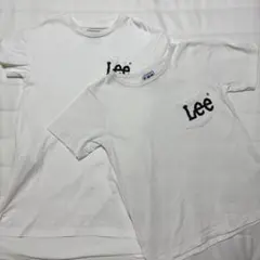 Item thumbnail for item b42c9bbf-6ac8-4ed9-8473-99cbe4cc1f65