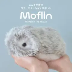 2025年最新】モフリン ゴールドの人気アイテム - メルカリ