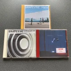 2026年最新】grapevineの人気アイテム - メルカリ
