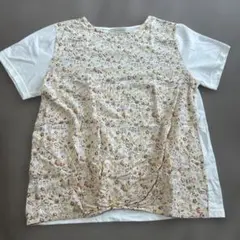 ゴールデンベア　レディースTシャツのサムネイル