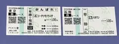 競馬 馬券コレクション リーチツモドライチ ハネマン