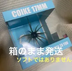 コイケセット②　スープレックス、フル、17、13、旧、マイクロ、ストレート コイケセット② スープレックス、フル、17、13、旧、マイクロ