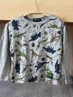 klädkåp 恐竜柄 長袖カットソー 100cm