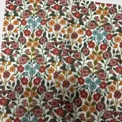 リバティタナローンはぎれヴィガーススケッチ