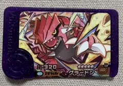 ポケモンフレンダ スーパートレジャー グラードン ベストタッグ第2弾 ST