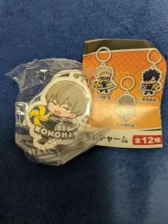 ハイキュー 木葉 秋紀 ガチャ めじるしチャーム