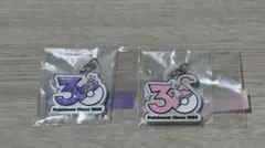 ポケモン　30周年　メタルチャームマスコット　めじるしアクセサリー