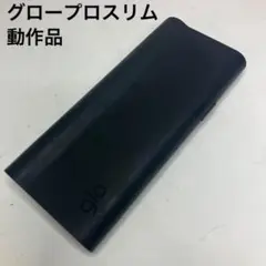 動作品　グロープロスリム グロー プロ スリム glo pro slim 2