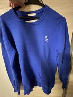 Abercrombie & Fitch 青色セーターのサムネイル