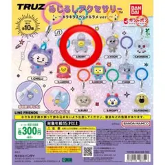 TRUZ ガチャ めじるしアクセサリー ROMY ロミー ジフン