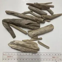 流木 セット 様々なサイズ