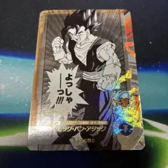 apt-016 ベジット　アドバンスパック２SR　ダイバーズ