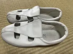 Item thumbnail for item 9b719376-e863-49f9-b26c-2f777d058629