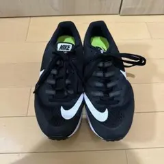 Nike ズームスピードライバル6 25cm