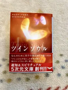 ツインソウル エンリケ・バリオス　5次元文庫　初版帯付き 716hSLvJSjL._AC_UF350,